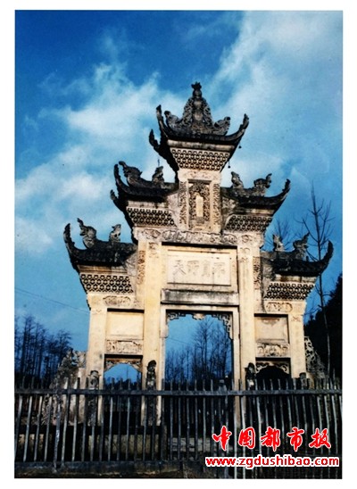 图片8