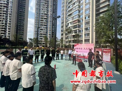 图片8