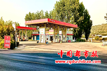 图片11