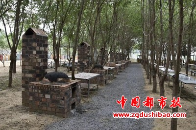 图片13