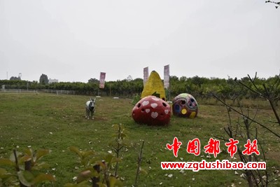图片14