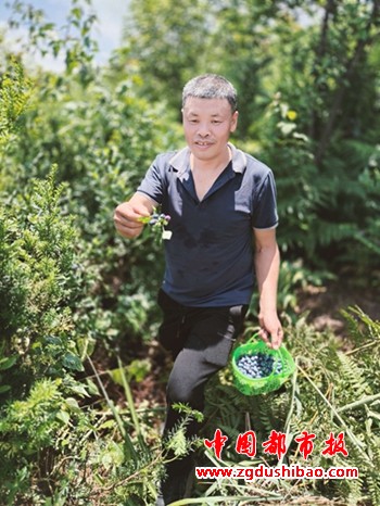 图片24_副本