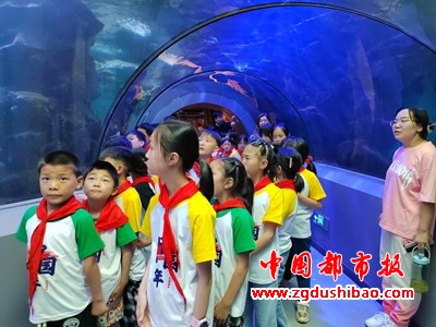 图片5