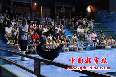 图片6