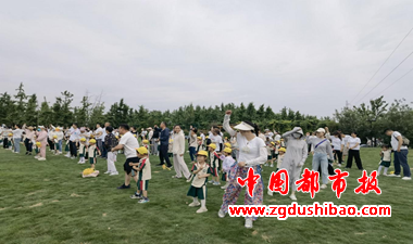 图片9
