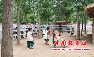 图片38