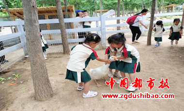 图片40
