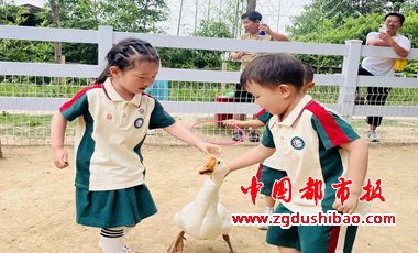 图片41