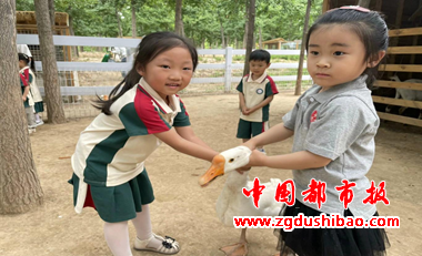 图片42