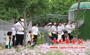 图片57