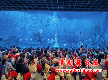 图片72