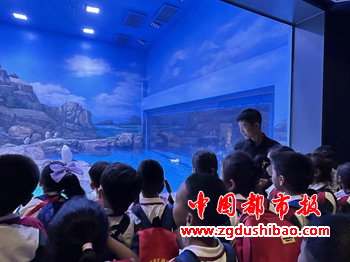 图片74