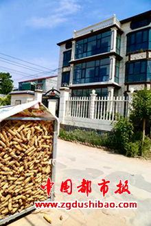 图片5