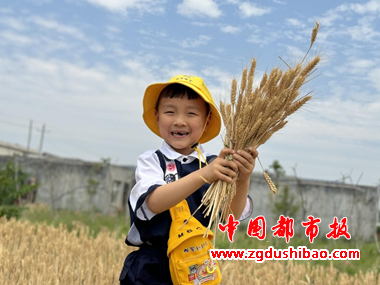 图片19