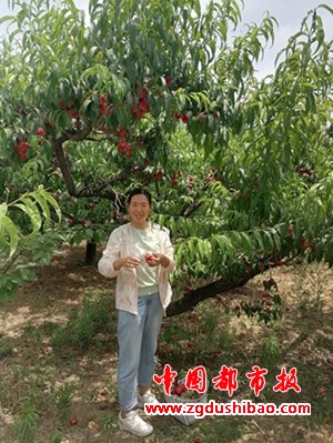 图片6