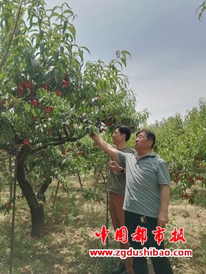图片7