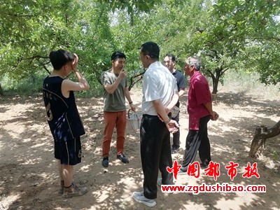 图片8