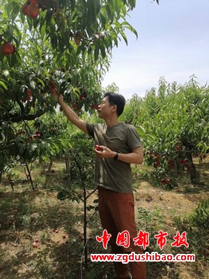 图片9
