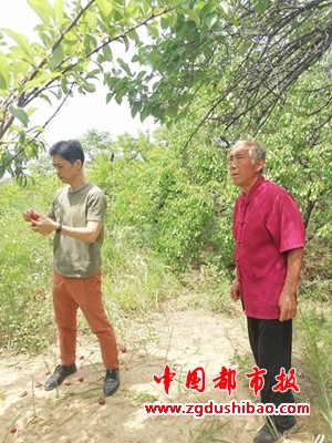 图片11
