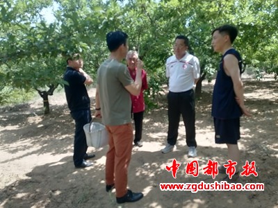图片10
