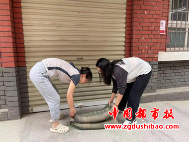 图片47