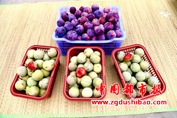 图片51