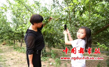 图片52