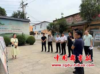 图片15