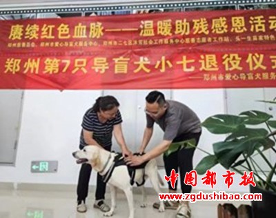 图片16