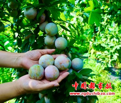 图片56
