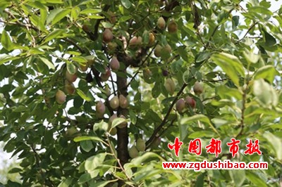 图片61