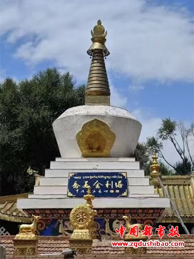 图片6