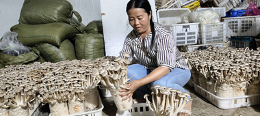 图片8