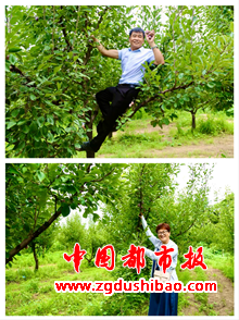 图片17