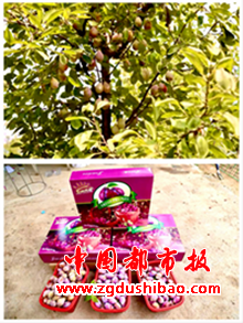 图片21