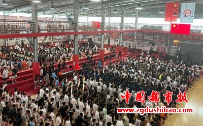 图片8