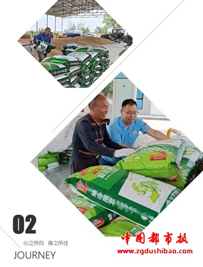 图片21