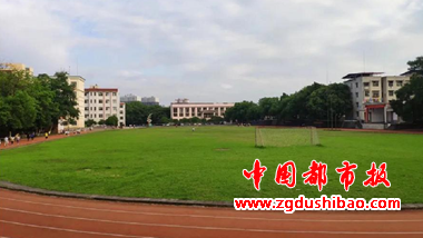 图片11