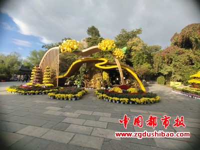微信图片_20241019092945