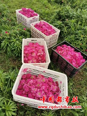 微信图片_20241021132202