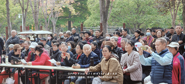 图片8