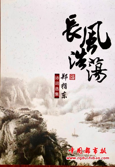 图片11