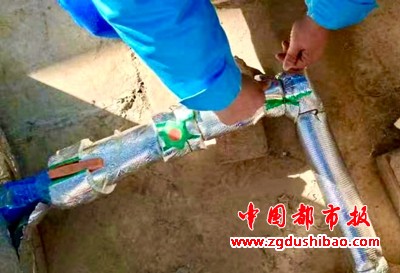 图片8