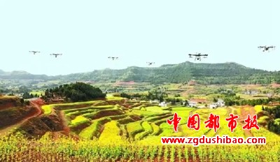 微信图片_20241228104326