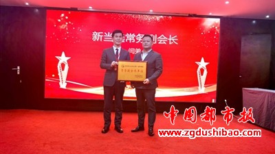 图片15