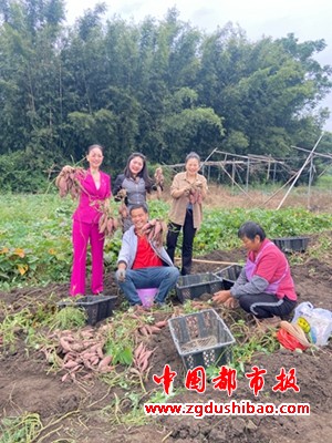 微信图片_20241231180652