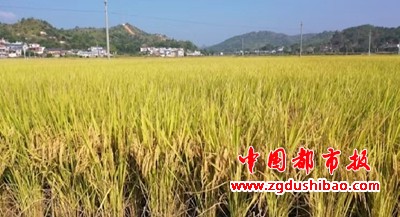 微信图片_20250105102200