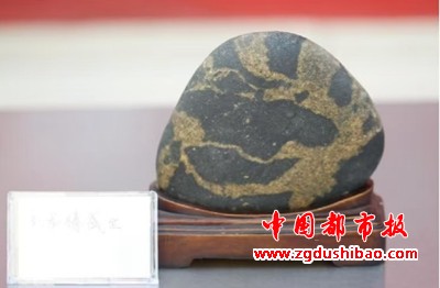 微信图片_20250105105137