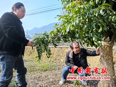 微信图片_20250107091342