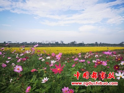 图片11